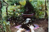 Stanholme image 3